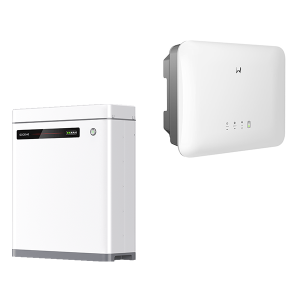 Lynx Home U 5.0-30 + GW5000*-ES-20