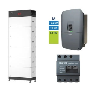 BYD HVM+ 16.6 + PLENTICORE M G3