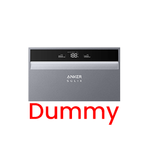ANK-X1-HK-T-DUMMY
