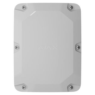 Ajax Case E (395), wit