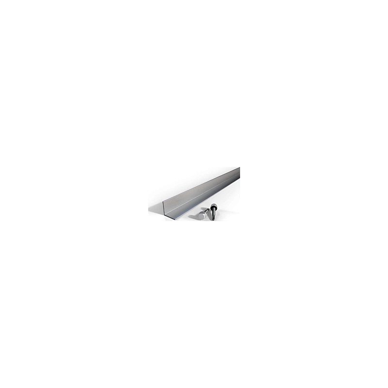 REN-420601