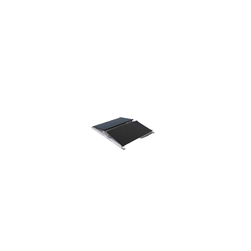 REN-520244