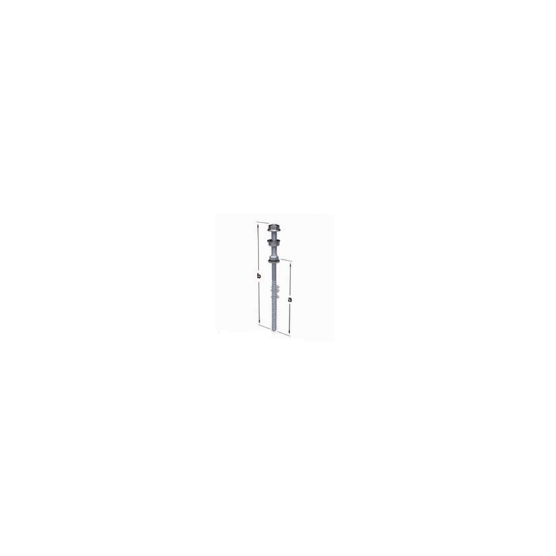 REN-900186