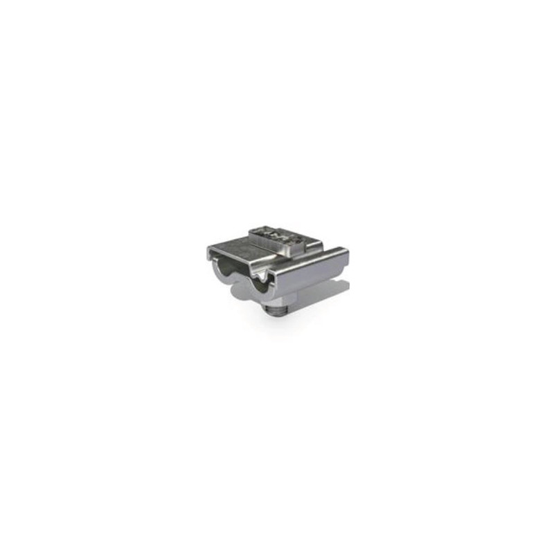 REN-900241