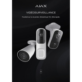 Poster A1, French language (Video)