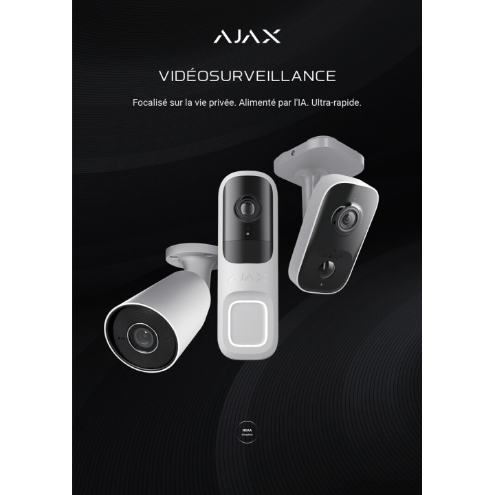 Poster A1, French language (Video)