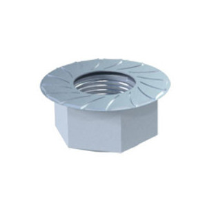 Hexagon Flange nut M12