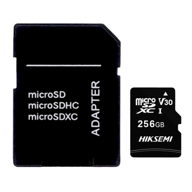HS-TF-C1STD-256G