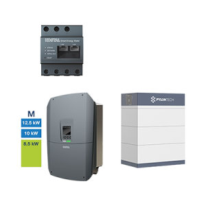 Force H3 14.7 + Plenticore M G3