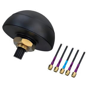 ZK-BIOCV-5-5APP-PROMO