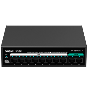 RG-ES110FG-P