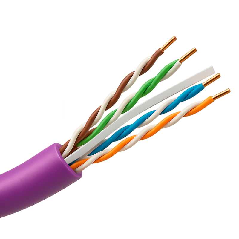 UTP6-305-BC-H-Dca-PURPLE