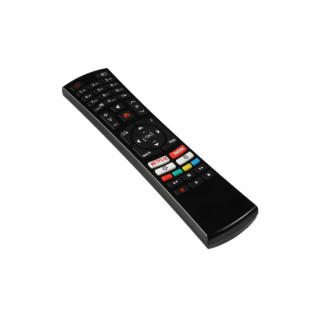 Nikkei Remote Smart/Netflix