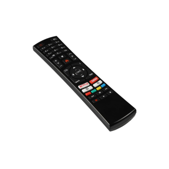 Nikkei Remote Smart/Netflix