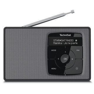 Technisat Digitradio 2 (mono)