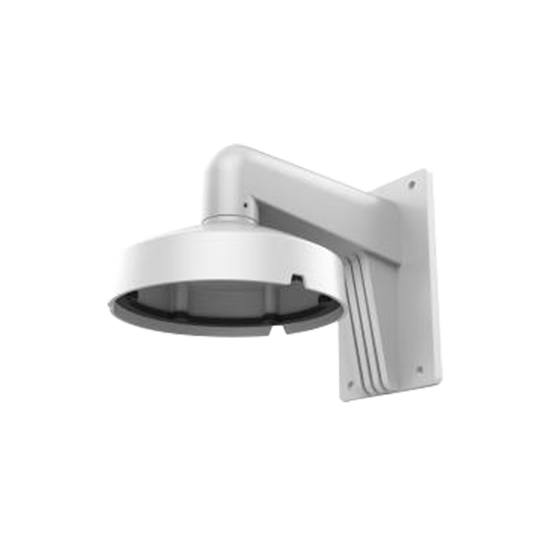 DS-1273ZJ-DM25(M1)