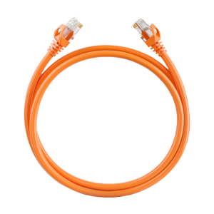 DS-1NP6UEC0 (10m)