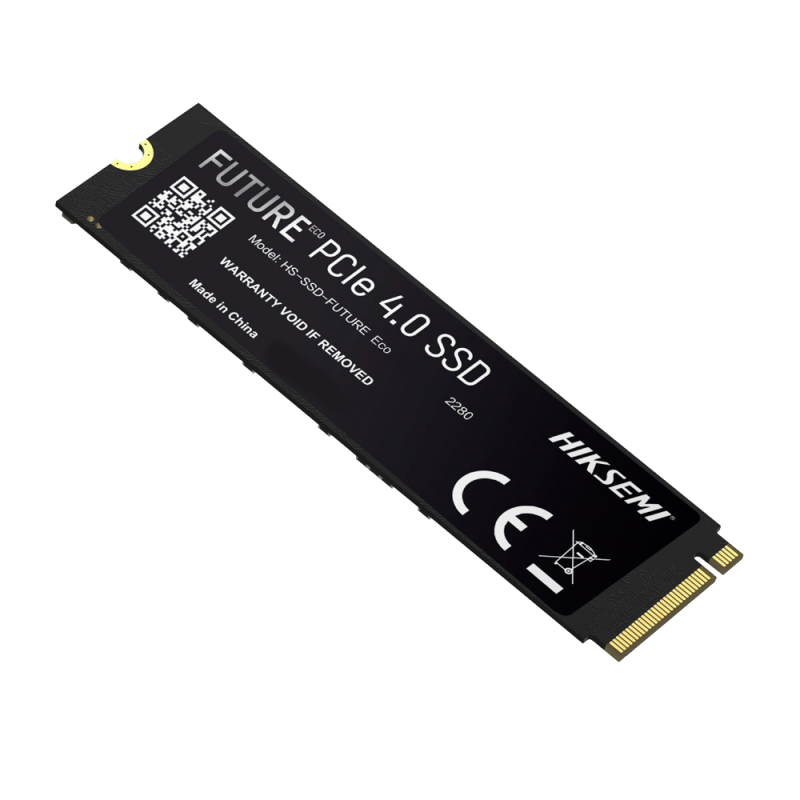 HS-SSD-FUTURE-2048G