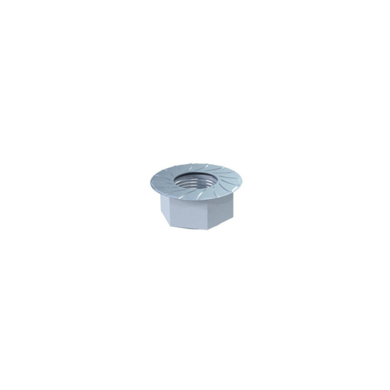 Hexagon Flange nut M12