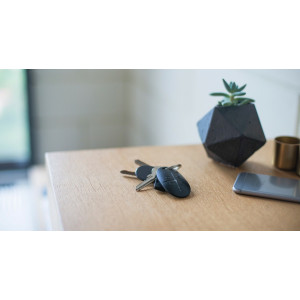 Ajax SpaceControl,zwart, draadloze afstandsbediening/overval